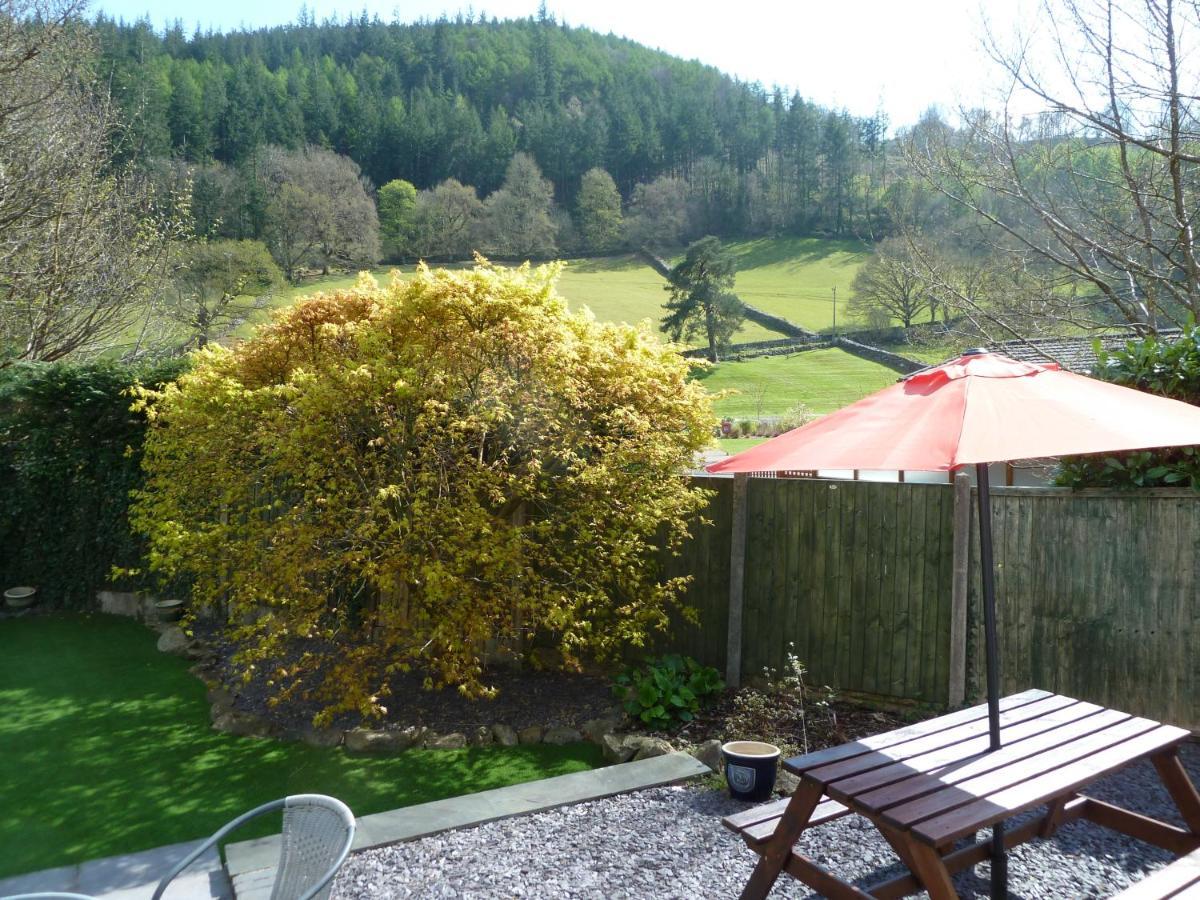 Hendre Wen Luxury Y Coed *